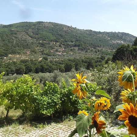 Appartamento Quinta Do Pina Guarda Esterno foto