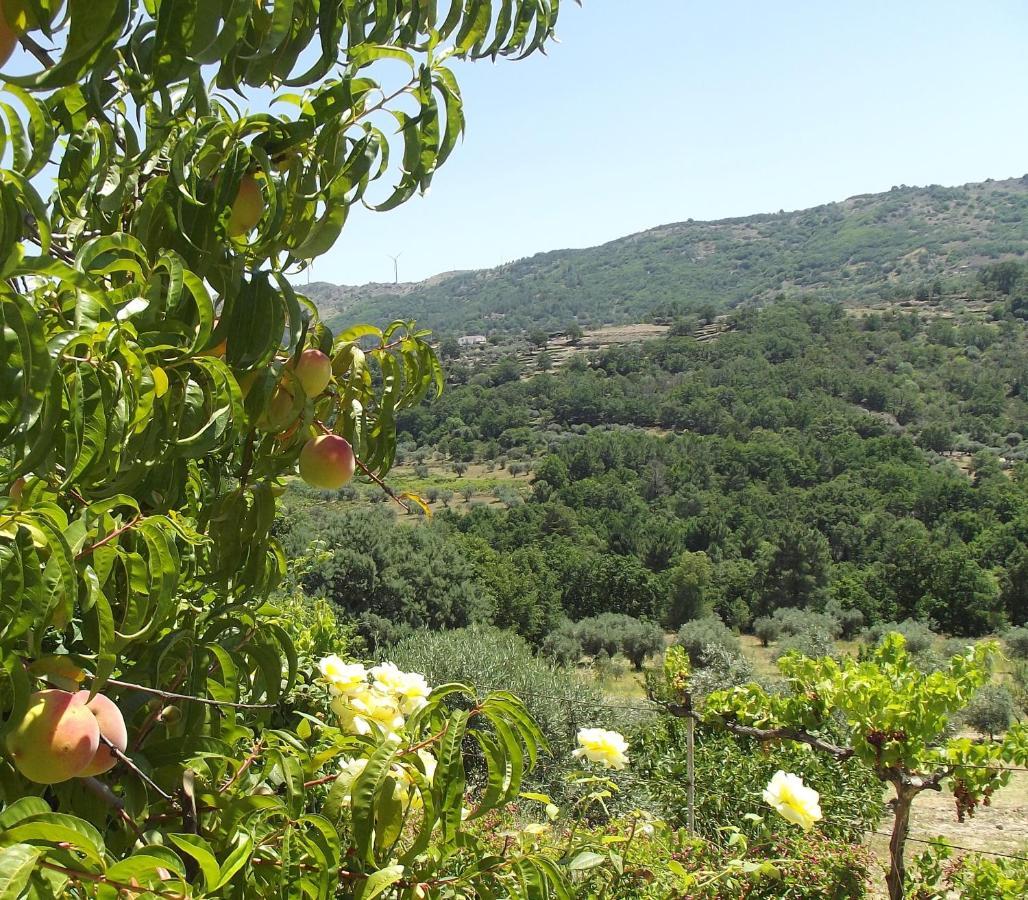 Appartamento Quinta Do Pina Guarda Esterno foto