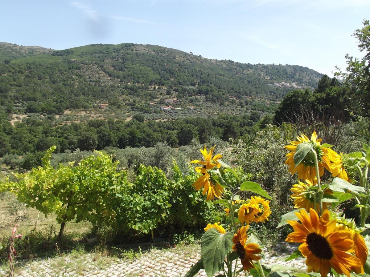 Appartamento Quinta Do Pina Guarda Esterno foto