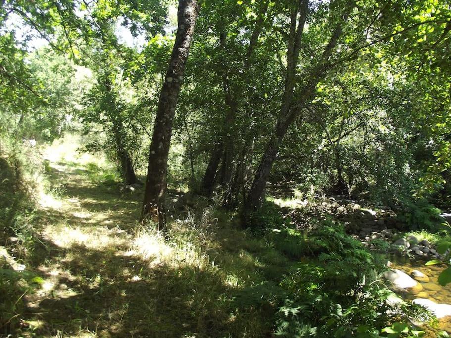 Appartamento Quinta Do Pina Guarda Esterno foto