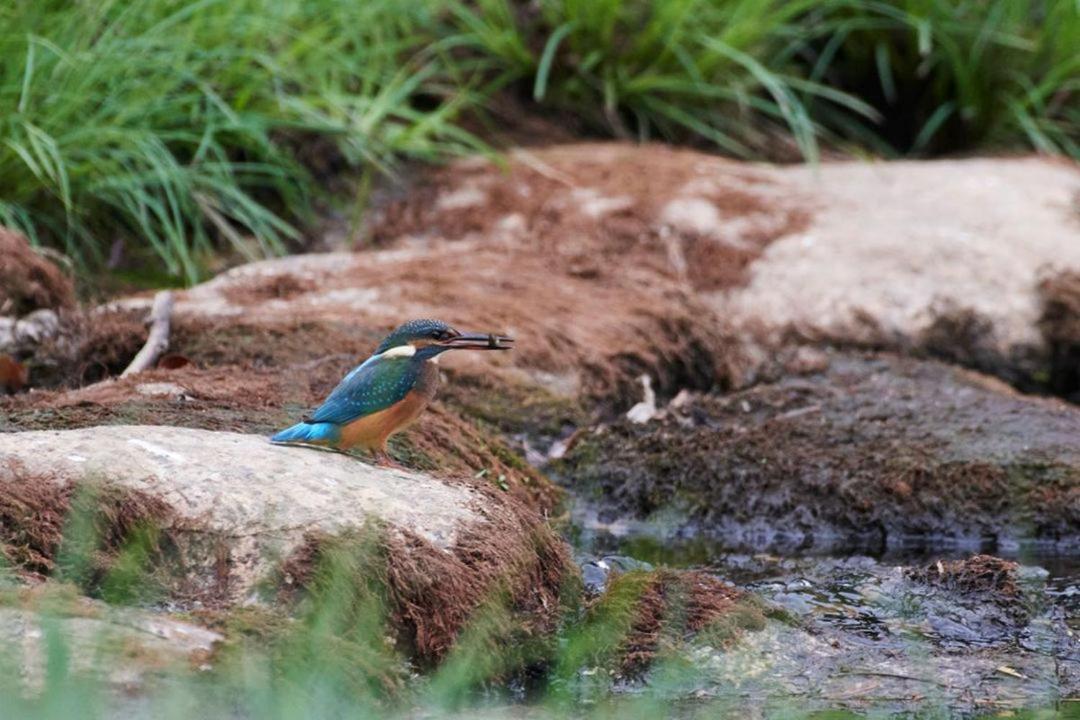 Appartamento Quinta Do Pina Guarda Esterno foto